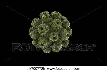 Conceptual image of polyomavirus. View Large Illustration Drawing - Conceptual image of polyomavirus.. Fotosearch