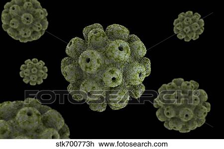Drawing - Conceptual image of polyomavirus.. Fotosearch