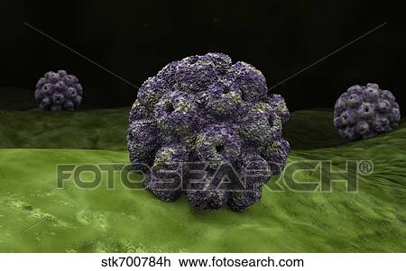 Drawing - Conceptual image of polyomavirus.. Fotosearch