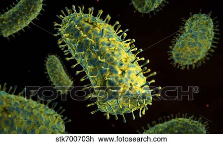 Conceptual image of rabies virus. View Large Illustration Drawing - Conceptual image of rabies virus.. Fotosearch