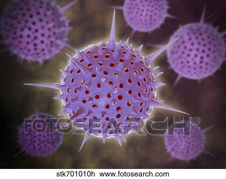 Conceptual image of Radiolarians with a skeletal frame. View Large Illustration Drawing - Conceptual image of Radiolarians with a skeletal frame.. Fotosearch