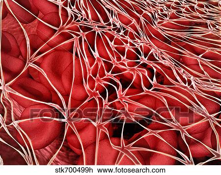 Drawing - Conceptual image of red blood cells with fibrin.. Fotosearch