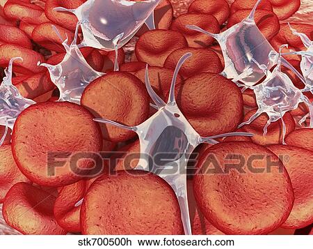 Drawing - Conceptual image of red blood cells with platelets.. Fotosearch