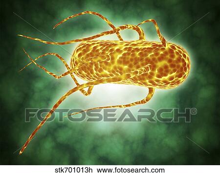 Conceptual image of salmonella. View Large Illustration Drawing - Conceptual image of salmonella.. Fotosearch
