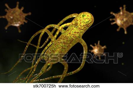 Drawing - Conceptual image of salmonella typhi causing typhoid.. Fotosearch