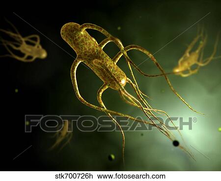Conceptual image of salmonella typhi causing typhoid. View Large Illustration Drawing - Conceptual image of salmonella typhi causing typhoid.. Fotosearch