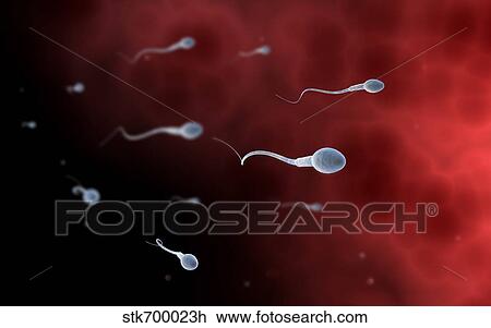 Drawing - Conceptual image of sperm inside fallopian tube.. Fotosearch