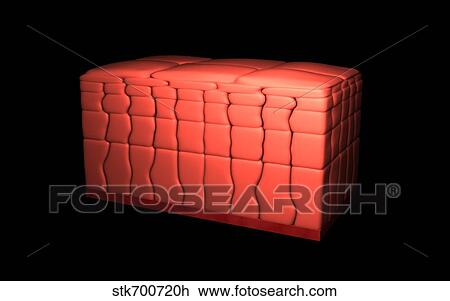 Conceptual image of stratified squamous epithelium. View Large Illustration Drawing - Conceptual image of stratified squamous epithelium.. Fotosearch