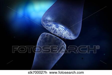 Drawing - Conceptual image of synapse of neuron inside brain.. Fotosearch