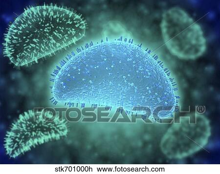 Conceptual image of the influenza causing flu virus. View Large Illustration Drawing - Conceptual image of the influenza causing flu virus.. Fotosearch