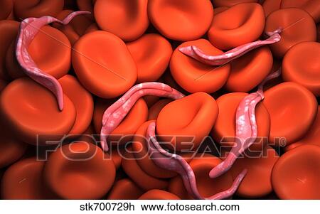 Conceptual image of Trypanosoma. View Large Illustration Drawing - Conceptual image of Trypanosoma.. Fotosearch