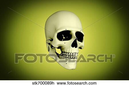 Drawing - Conceptual view of human skull.. Fotosearch