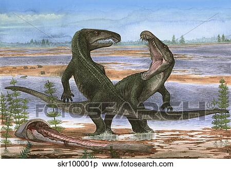 Confrontation between two prehistoric Archosaurus rossicus. View Large Illustration Stock Illustration - Confrontation between two prehistoric Archosaurus rossicus.. Fotosearch