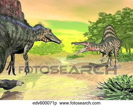 Confrontation between two Spinosaurus dinosaurs. View Large Illustration Stock Illustration - Confrontation between two Spinosaurus dinosaurs.. Fotosearch