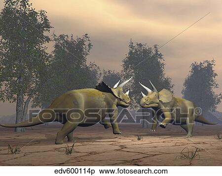 Confrontation between two Triceratops. View Large Illustration Stock Illustration - Confrontation between two Triceratops.. Fotosearch