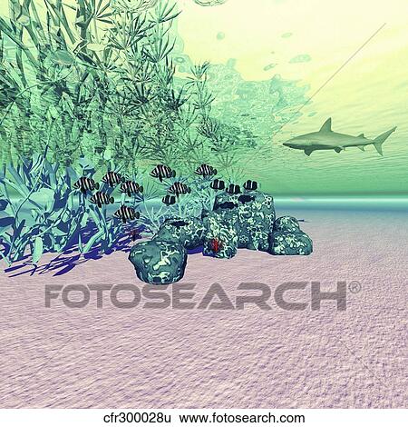 Coral reef life in the deep ocean. View Large Illustration Stock Illustration - Coral reef life in the deep ocean.. Fotosearch