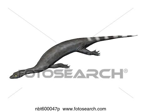 Corosaurus alcovensis, Early Triassic of Wyoming, USA. View Large Illustration Stock Illustration - Corosaurus alcovensis, Early Triassic of Wyoming, USA.. Fotosearch