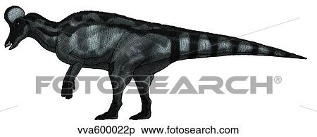 Corythosaurus, a large hadrosaurid dinosaur. View Large Illustration Stock Illustration - Corythosaurus, a large hadrosaurid dinosaur.. Fotosearch