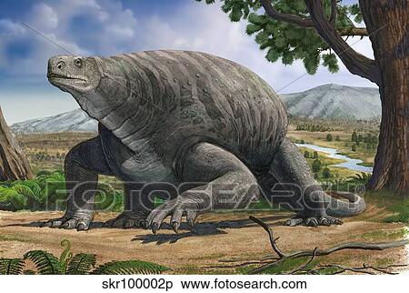 Cotylorhynchus bransoni, a prehistoric animal from the Paleozoic Era. View Large Illustration Stock Illustration - Cotylorhynchus bransoni, a prehistoric animal from the Paleozoic Era.. Fotosearch