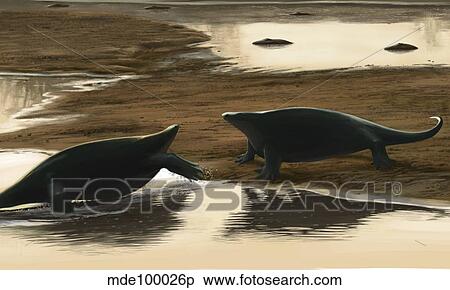 Cotylorhynchus confrontation on the water's edge. View Large Illustration Stock Illustration - Cotylorhynchus confrontation on the water's edge.. Fotosearch