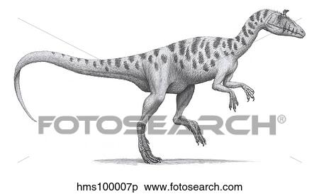 Cryolophosaurus elliotti, a large theropod dinosaur. View Large Illustration Stock Illustration - Cryolophosaurus elliotti, a large theropod dinosaur.. Fotosearch