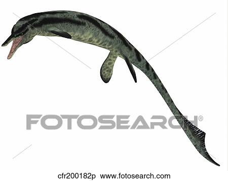 Stock Illustration - Cymbospondylus, an early ichthyosaur from the Triassic Period.. Fotosearch