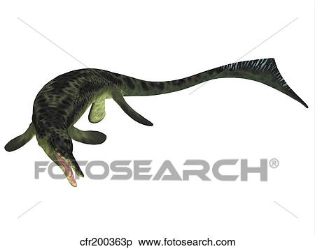 Stock Illustration - Cymbospondylus ichthyosaur from the Triassic Period.. Fotosearch