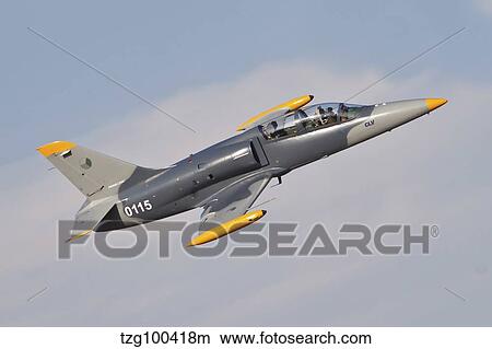 Czech Air Force AERO L-39C Albatros jet trainer. View Large Photo Image Picture - Czech Air Force AERO L-39C Albatros jet trainer.. Fotosearch