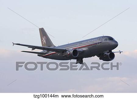 Czech Air Force flagship Airbus A319. View Large Photo Image Picture - Czech Air Force flagship Airbus A319.. Fotosearch