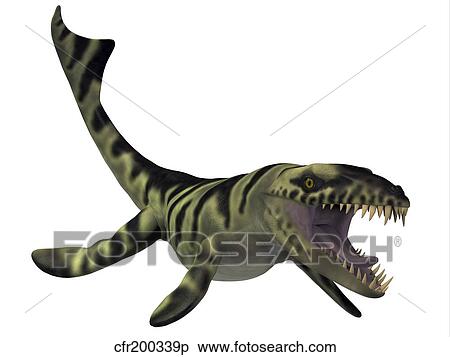 Dakosaurus, white background. View Large Illustration Stock Illustration - Dakosaurus, white background.. Fotosearch
