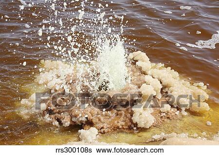 Stock Photograph - Dallol geothermal area, small geyser in brine hot springs, Danakil Depression, Ethiopia.. Fotosearch