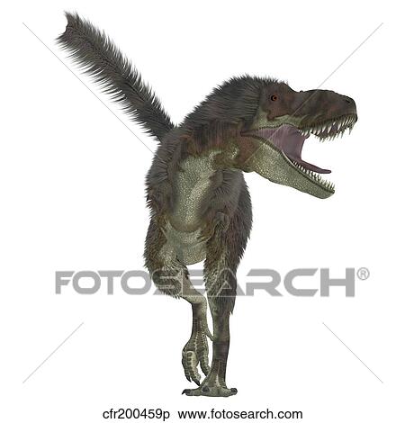 Stock Illustration - Daspletosaurus dinosaur, white background.. Fotosearch