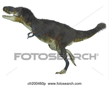 Stock Illustration - Daspletosaurus dinosaur, white background.. Fotosearch
