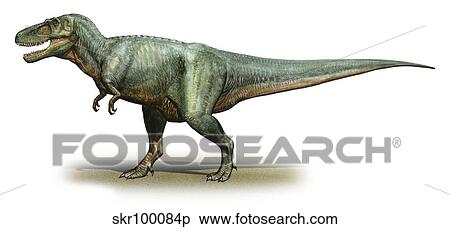 Stock Illustration - Daspletosaurus torosus, a prehistoric era dinosaur.. Fotosearch