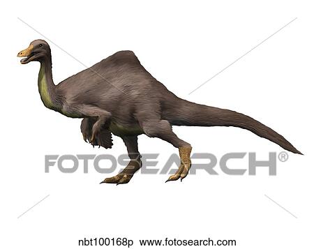 Deinocheirus is an ostrich-like dinosaur of the Late Cretaceous period. View Large Illustration Stock Illustration - Deinocheirus is an ostrich-like dinosaur of the Late Cretaceous period.. Fotosearch