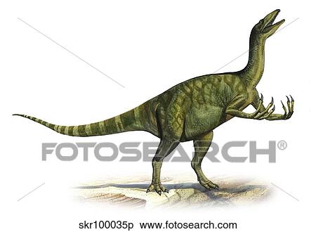 Deinocheirus mirificus, a prehistoric era dinosaur. View Large Illustration Stock Illustration - Deinocheirus mirificus, a prehistoric era dinosaur.. Fotosearch