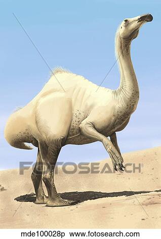 Stock Illustration - Deinocheirus standing under the Sun.. Fotosearch