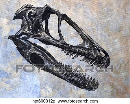 Deinonychus dinosaur skull. View Large Illustration Stock Illustration - Deinonychus dinosaur skull.. Fotosearch