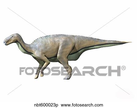 Delapparentia turolensis, Early Cretaceous of Spain. View Large Illustration Stock Illustration - Delapparentia turolensis, Early Cretaceous of Spain.. Fotosearch