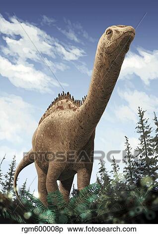 Demandasaurus darwini a rebbachisaurid from Spain. View Large Illustration Stock Illustration - Demandasaurus darwini a rebbachisaurid from Spain.. Fotosearch