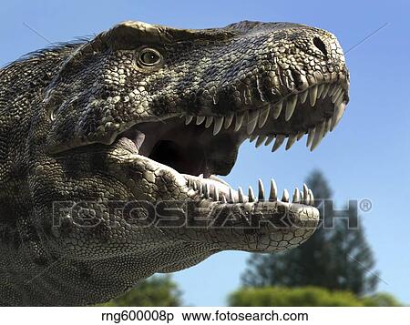 Detailed headshot of Tyrannosaurus Rex. View Large Illustration Stock Illustration - Detailed headshot of Tyrannosaurus Rex.. Fotosearch