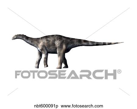 Dicraeosaurus dinosaur. View Large Illustration Stock Illustration - Dicraeosaurus dinosaur.. Fotosearch
