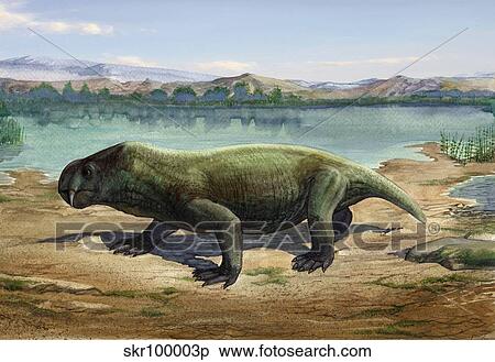 Dicynodon trautscholdi, a prehistoric animal from the Paleozoic Era. View Large Illustration Stock Illustration - Dicynodon trautscholdi, a prehistoric animal from the Paleozoic Era.. Fotosearch