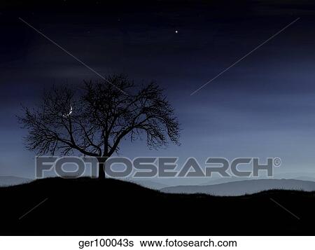 Stock Illustration - Digitally generated image of a tree and the moon.. Fotosearch