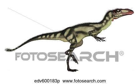 Stock Illustration - Dilong dinosaur.. Fotosearch