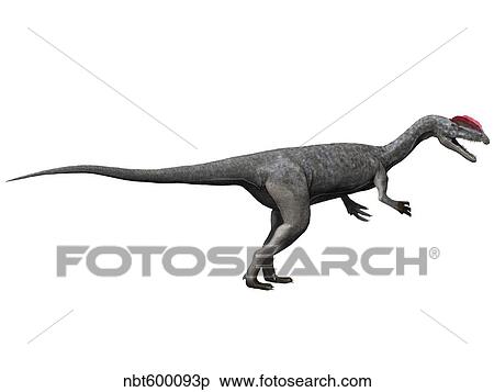 Dilophosaurus dinosaur. View Large Illustration Stock Illustration - Dilophosaurus dinosaur.. Fotosearch