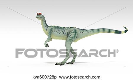 Dilophosaurus dinosaur, white background. View Large Illustration Stock Illustration - Dilophosaurus dinosaur, white background.. Fotosearch
