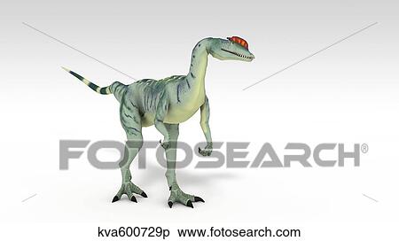Dilophosaurus dinosaur, white background. View Large Illustration Stock Illustration - Dilophosaurus dinosaur, white background.. Fotosearch