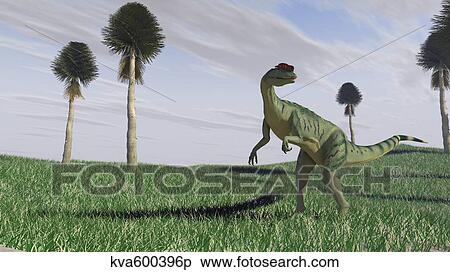 Dilophosaurus hunting for its next meal in an open field. View Large Illustration Stock Illustration - Dilophosaurus hunting for its next meal in an open field.. Fotosearch