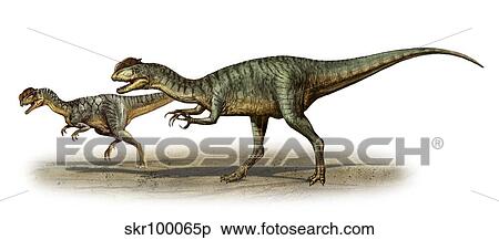 Stock Illustration - Dilophosaurus wetherilli, a prehistoric era dinosaur.. Fotosearch